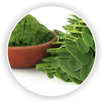 Moringa
