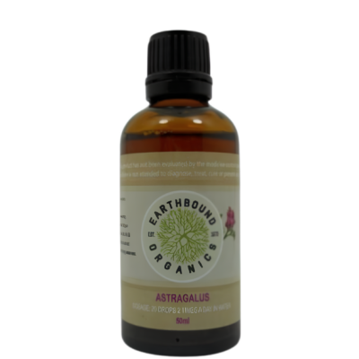 Astragalus