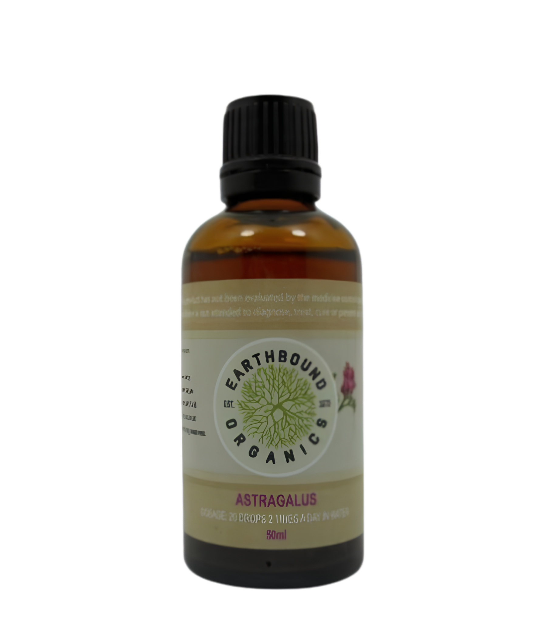 Astragalus