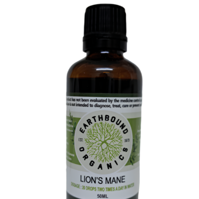 Lion's Mane