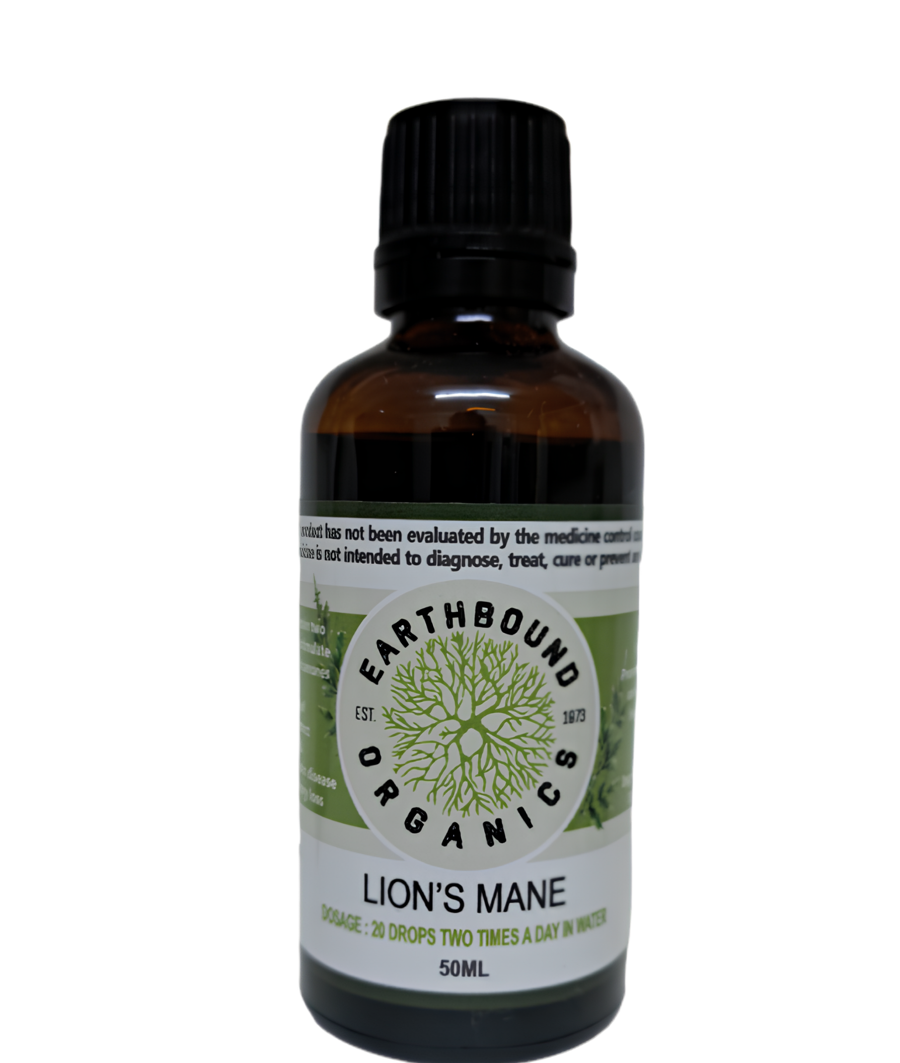 Lion's Mane